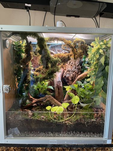 Customer photo review of 2'x2'x2' PVC Panel Reptile Enclosure by Zen Habitats