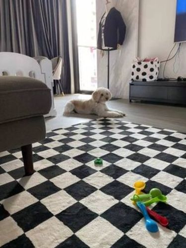 Customer photo review of Checkered Area Rug,Checkerboard Rug