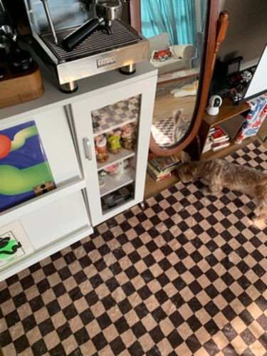 Customer photo review of Checkered Area Rug,Checkerboard Rug