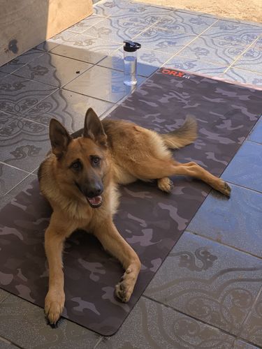 Customer photo review of Mat de Entrenamiento ORX Black Camo