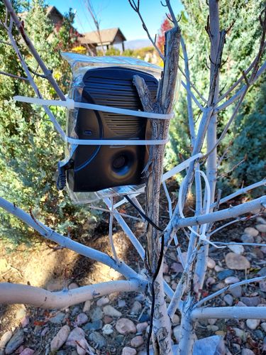 Customer photo review of Dog Silencer® MAX