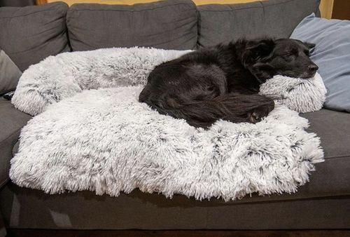 Customer photo review of Hundebett Sofaschutz Auflage
