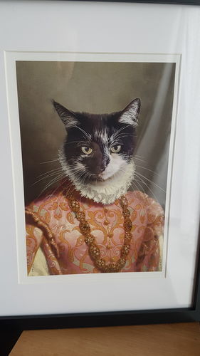 Customer photo review of The Duchess - Custom Vintage Pet Portrait