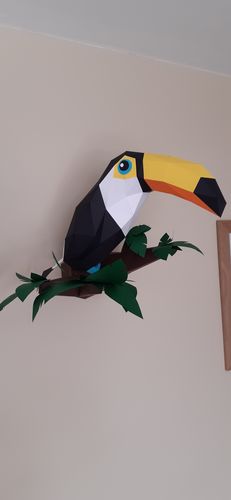 Customer photo review of Patrons Toucan (pdf)