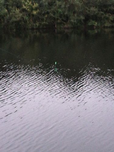 Customer photo review of Smart Fishing Float - Sonderangebot