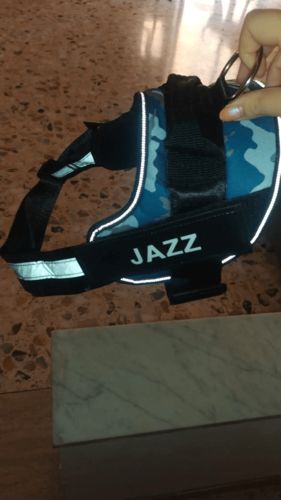 Customer photo review of Personalisierbares Anti-Zug Hundegeschirr