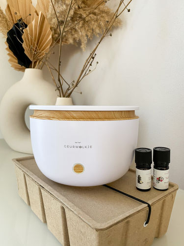 Customer photo review of Asahi Aromadiffusor 500ML Smellacloud original