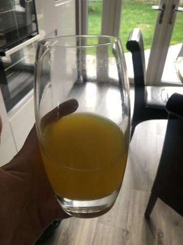 Customer photo review of Zest Active