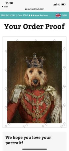 Customer photo review of The Prince - Custom Vintage Pet Portrait