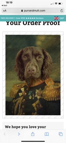 Customer photo review of The General - Custom Vintage Pet Portrait