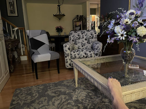 Customer photo review of Cabrexa Chair Slipcovers