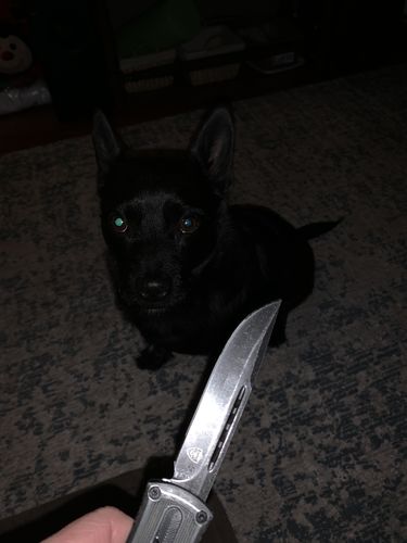 Customer photo review of PHANTOM X7