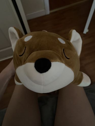 Customer photo review of The Sleepy Shiba