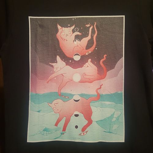 Customer photo review of Cat Phases, Unisex T-Shirt, Black Or White