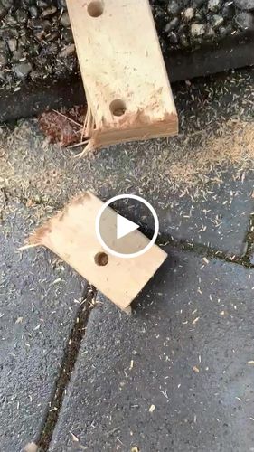 Customer video review of GJEMAX™ Mini-Elektro-Kettensäge