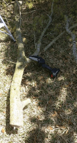 Customer photo review of GJEMAX™ Mini-Elektro-Kettensäge