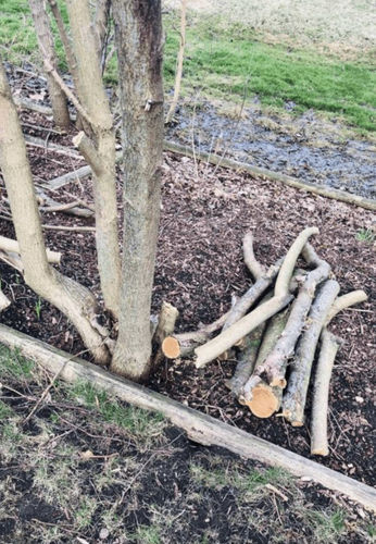 Customer photo review of GJEMAX™ Mini-Elektro-Kettensäge