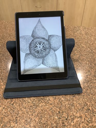 Customer photo review of Premium Leather iPad Case