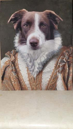 Customer photo review of The Princess - Custom Vintage Pet Portrait