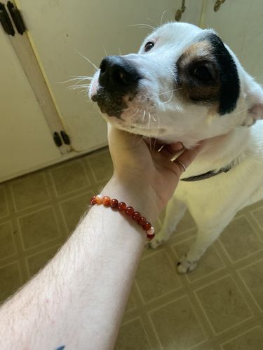 Customer photo review of Red Carnelian Bracelet
