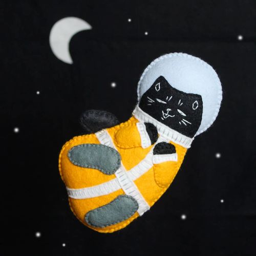 Customer photo review of Premium Wool Blend Craft Felt By Yard