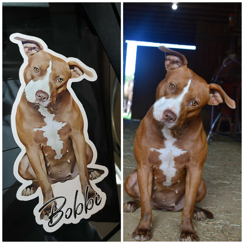 Customer photo review of Personalized Pet Kiss Cut Stickers
