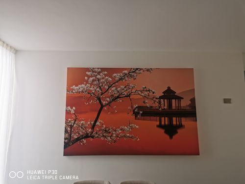 Customer photo review of Lovely Cherry Blossom Sunset