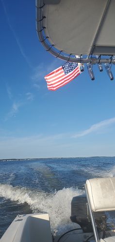 Customer photo review of American Flag