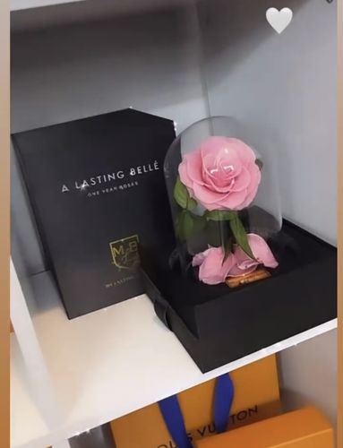 Customer photo review of PINK Mini Rose Dome