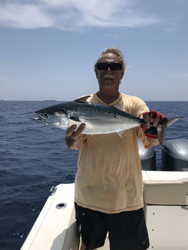 Customer photo review of Silvertip Full Sink Fly Line