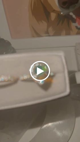 Customer video review of Route Package Protection