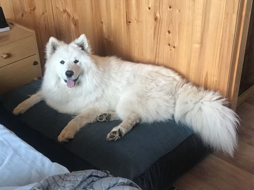 Customer photo review of CAMA ORIGEN AZUL JEANS-NEGRO