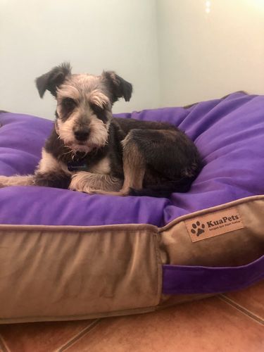 Customer photo review of CAMA ORIGEN TABACO-MORADO