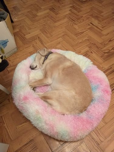 Customer photo review of Cama Super-Macia, Ergonómica, Calmante e Quente para Cães ou Gatos (diâmetros entre 40 e 100 centímetros - 17 CÔRES)