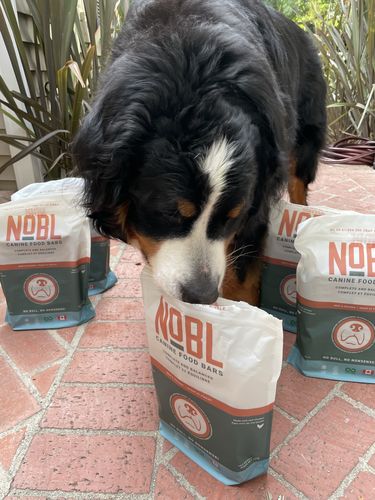 Customer photo review of Adult Canine Food Bars: Beef and Chicken Recipe - BULK BAG