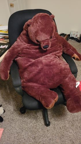 Customer photo review of SKOGGY BEAR