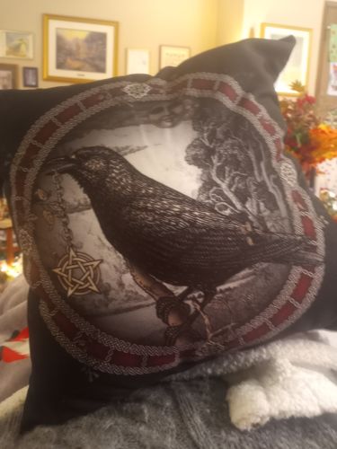 Customer photo review of Crow Pentacle Pillow
