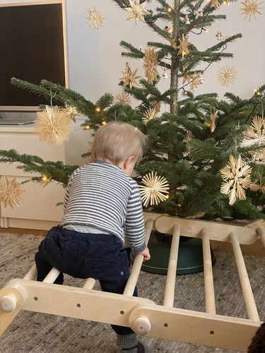 Customer photo review of Modifiable Climbing Frame FIPITRI, Inspired by Emmi Pikler