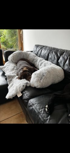 Customer photo review of Calming Couch Cover