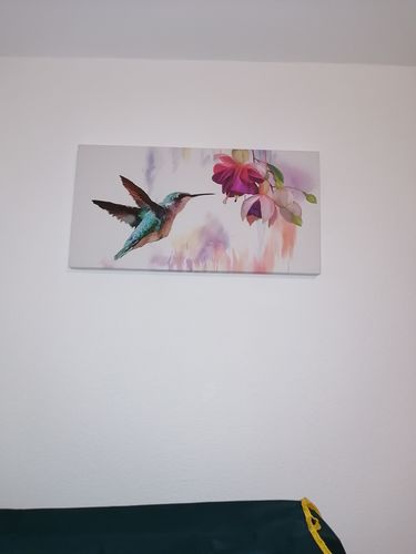 Customer photo review of Hummingbird Flowers