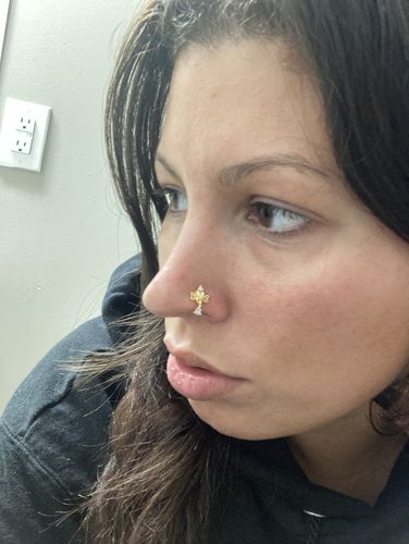 Customer photo review of Cinderella Nose Stud