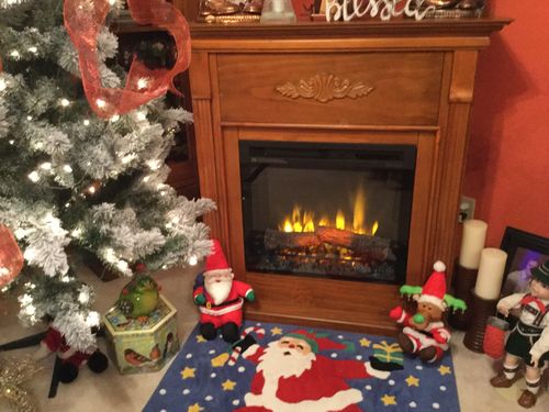 Customer photo review of Dimplex 23" Multi-Fire XHD Plug-in Electric Firebox - Logs