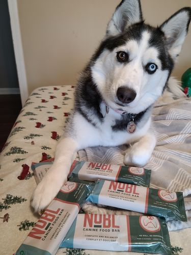 Customer photo review of Adult Canine Food Bars: Beef and Chicken Recipe - BULK BAG