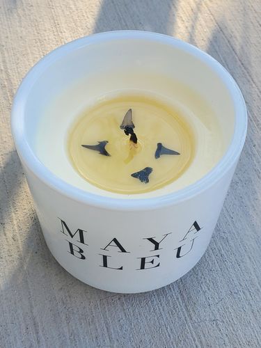 Customer photo review of Original Shark Tooth Candle