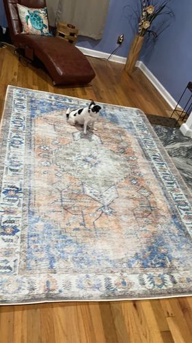 Customer photo review of Distressed Vintage Pissarro Terracotta Sky