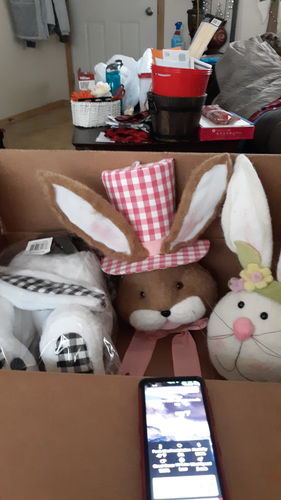 Customer photo review of Orn Bunny Top Hat D4Xw8Xh22 62801PK