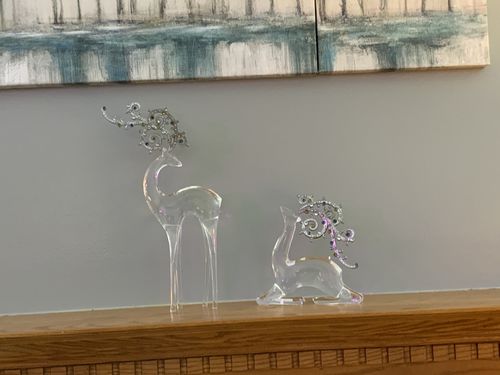 Customer photo review of Silver Jeweled Antler Deer Set