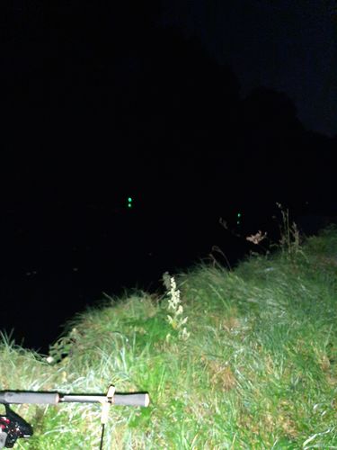 Customer photo review of 10g Smart Fishing Float