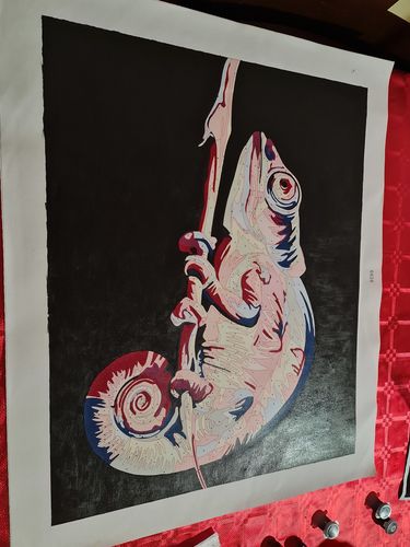 Customer photo review of Guana colorido