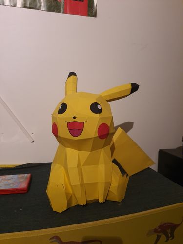 Customer photo review of Pikachu
